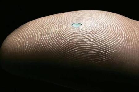 探秘龙头凤尾命格：命运的巧妙安排与人生的奥秘