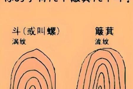 手指9簸箕的命运解析：你手指的秘密与运势的关系