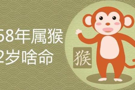 68年腊月猴的命运解析：智慧与挑战并存的一生