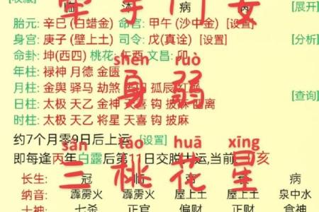 探寻2023癸卯年：命理解析与人生启示