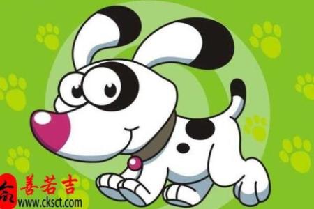 38岁属狗的人生运势与命理解析