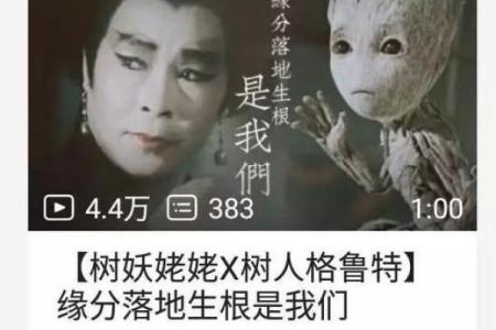 男女桃花命的秘密：缘分与运势的奇妙交织