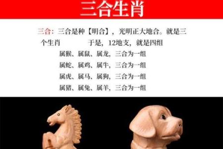 揭秘“少命”之谜：这究竟是哪一生肖的象征？