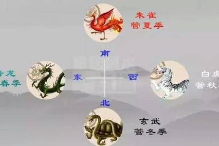 探寻山下火命的奥秘：火焰与命理的交织之美