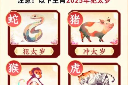揭秘12岁猴子的命运：生肖猴的特色与人生运势