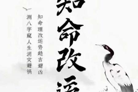 男命没有官星，这意味着什么？探寻命理奥秘与人生方向