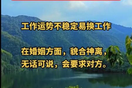 25岁兔子的土命之谜：解密命理的奥秘与人生的启示