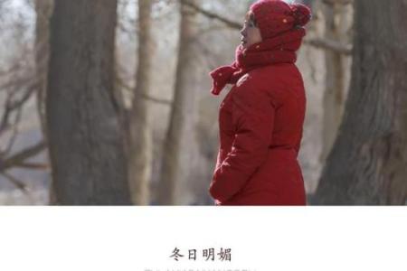 腊月雪霁，冬日阳光洒满大地，一场关于生命和重生的故事