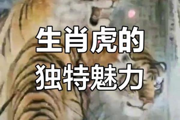 60岁老虎是什么命：解读属虎人的命理与性格