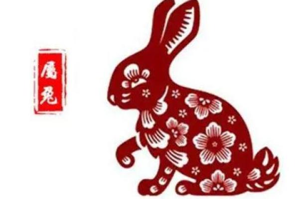 揭秘1987年属相命运：寻找生肖兔的幸运与智慧