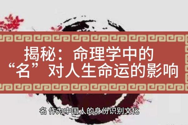 命运的解读：命理知识如何影响人生选择与发展