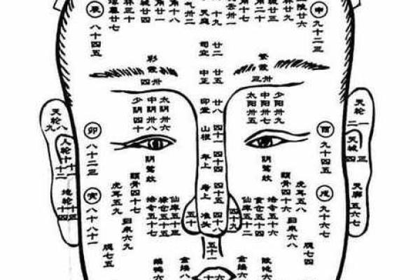 女生面相命好：眉眼间的福气与运势