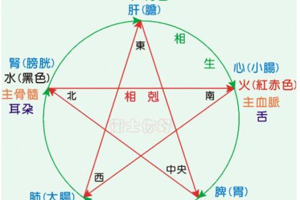 男土命与女火命在楼层选择中的和谐之道
