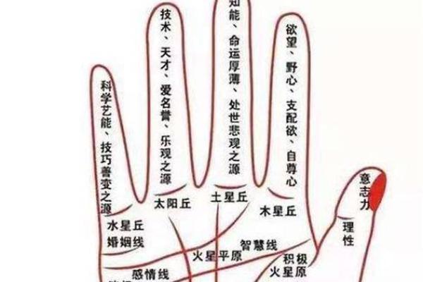 揭秘手相：男性如何通过掌纹看出土豪命运！