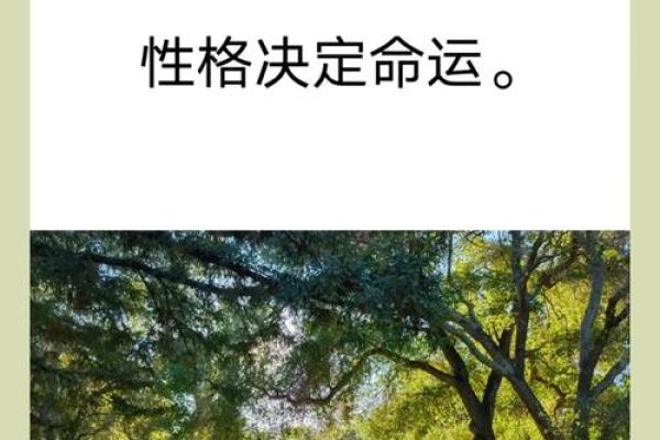 揭秘马年出生的人：命运与性格的深度解析