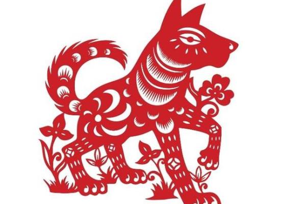 1994年属狗的纳命之说：命运与失官的深度解析