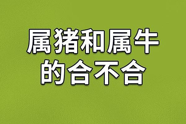 07属猪的命运解析:财富、健康与幸福的三重奏 07属猪的命运解析:财富、健康与幸福的三重奏