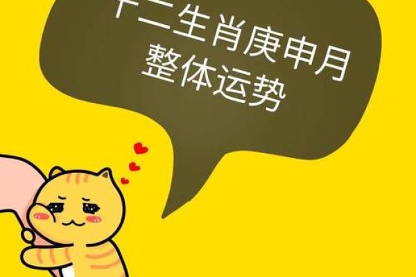 水命人适合的生肖解析：揭示与水命相合的生肖特质！