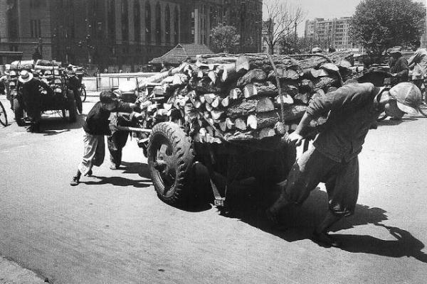 1949年命年：灵动的马与时代的变迁