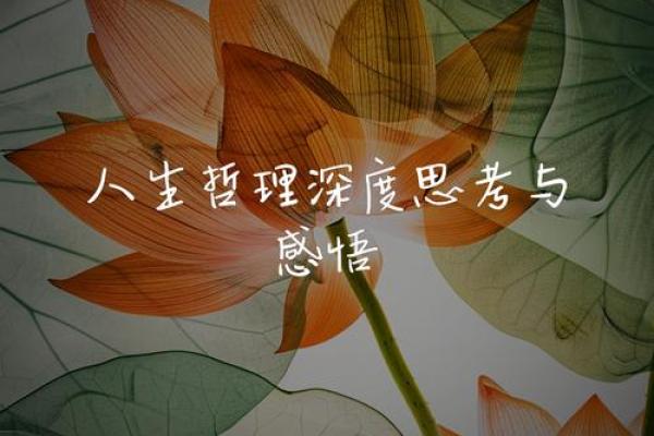 探寻孑命的含义与人生哲学的深度思考
