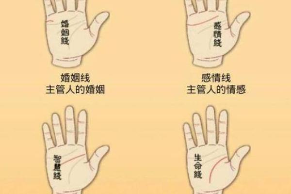 揭秘女人断掌命运：你不可不知的手相秘密