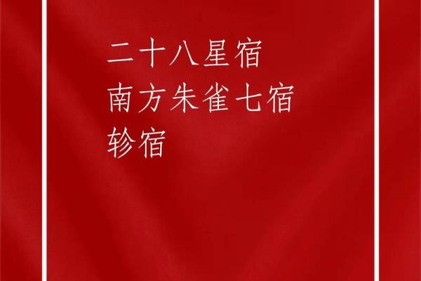 6命班尼特与5命的五大区别:探寻命理的奥秘与智慧 6命班尼特与5命的五大区别:探寻命理的奥秘与智慧