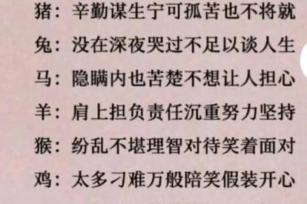 解读第命：属相与命理的深刻联系