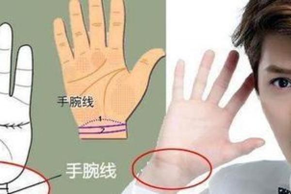 女性手腕细致：命运的微妙暗示与自我提升之路