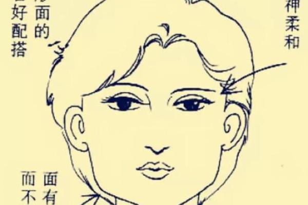 胖子女人的命运解析：体型与命格之间的神秘联系