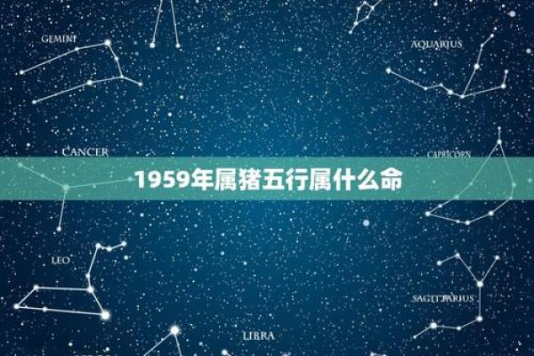 2007年属猪女孩的命运与个性解析
