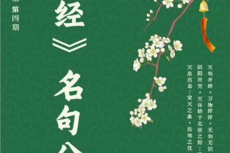 命运与易经：哪些人不宜学习这门智慧揭晓
