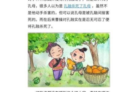 孔融让梨的智慧与品德传承：小事中的大教育