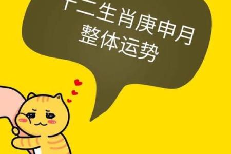 水命人适合的生肖解析：揭示与水命相合的生肖特质！