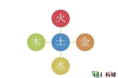 金命养鱼风水布局：最佳方位提升运势与财富运