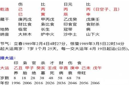 丙辰年生人命理解析：火龙之命的独特魅力与挑战
