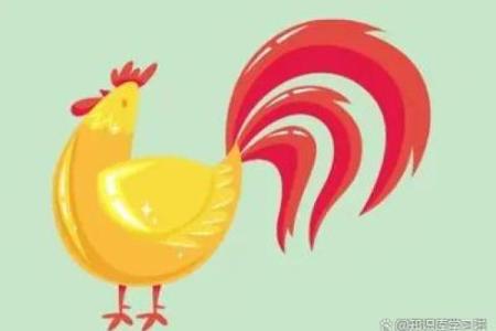 57属鸡人的命运解析：智慧与努力的交织之路