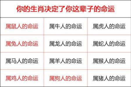 77岁属相分析：解读属相命理与人生智慧