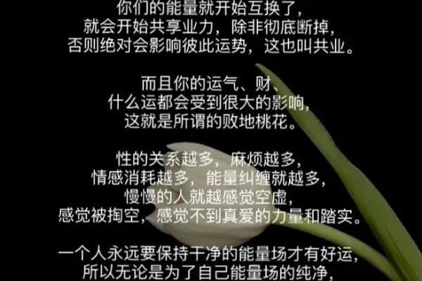 命理学的奥秘：探索人生命运与宇宙能量的关系
