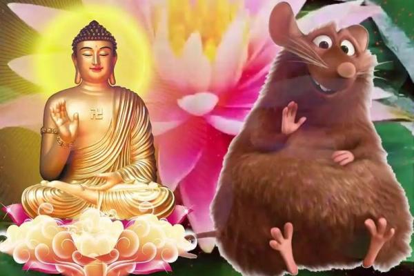 72年出生的人命运解析:蕴藏智慧与力量的“鼠”年之人 72年出生的人命运解析:蕴藏智慧与力量的“鼠”年之人