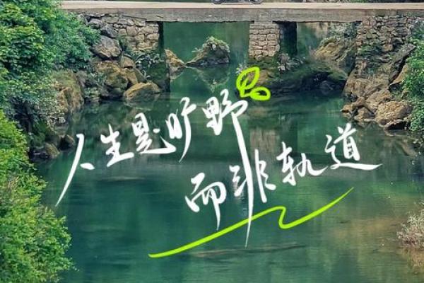 探索“意义”之旅：生活的真正价值与内心的和谐
