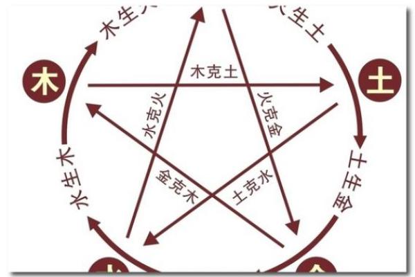 己巳年属于土命，解析其命理与人生指导