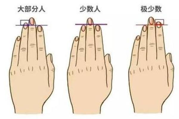 大拇指伸直的象征意义：揭示人生中的命运与潜力