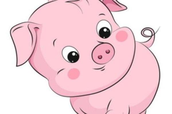 2019年属猪小孩的命运与未来发展解析