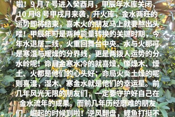 癸酉年命解析：与哪些年份最相配，助你扬帆起航！