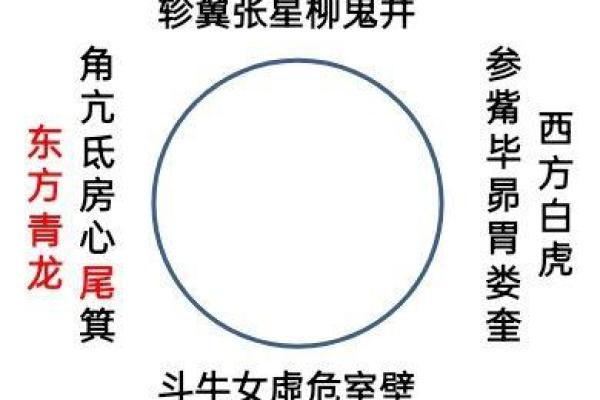 解密癸卯庚申戊申命理：探索你命运的奥秘与指引