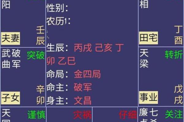 揭示命主凶狠者的命运轨迹与性格特征