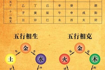 1994年属狗人的命理分析与五行缺失解读