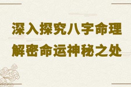 探索占卜命理的奥秘：揭示未来和内心的行业之美