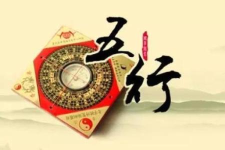 探寻命掌乾坤，解码生肖密码的奥秘