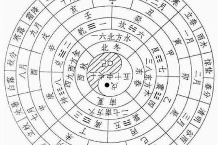 探索1993年冬月十二日的命理启示与生活智慧